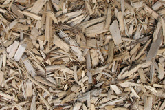biomass boilers Eckworthy